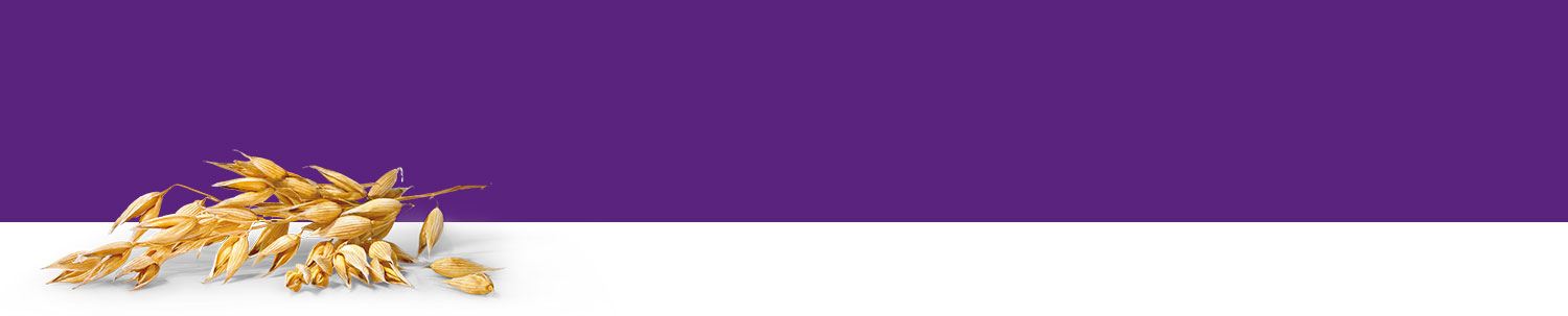A bunch of golden-yellow grains or seeds is placed on a white surface against a purple background.