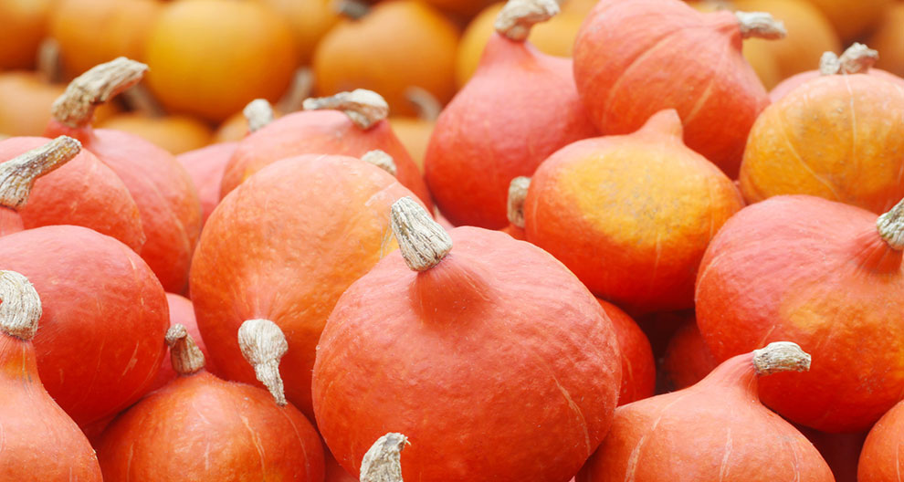 A pile of orange pumpkins.