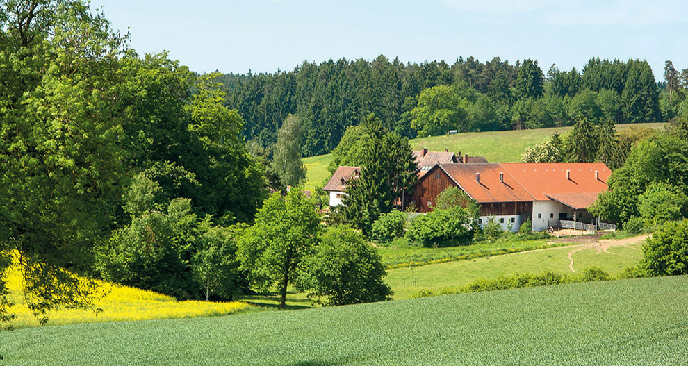 Een landelijk landschap met een huis, groene velden en bomen.