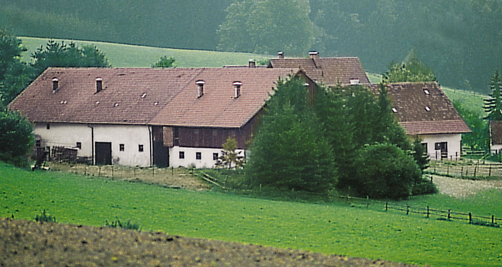 Een landelijke scène met een wit gebouw, bruine daken en groene velden.