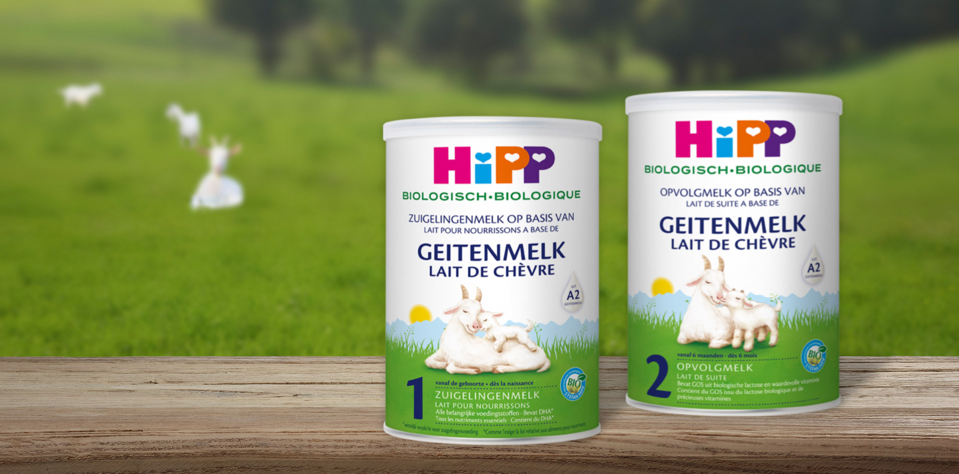 Twee cilindrische verpakkingen met geitenmelkpoeder worden weergegeven op een houten oppervlak, met een onscherpe achtergrond van een groen veld en grazende geiten.