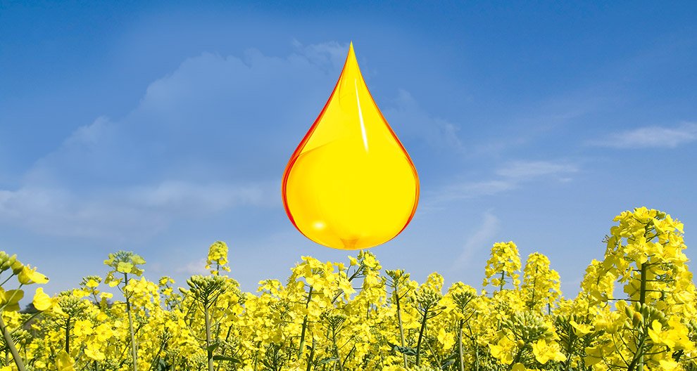 Een grote, levendige gele druppel zweeft boven een veld met gele bloemen onder een strakblauwe lucht.