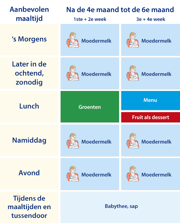 Giet Grazen pepermunt Vanaf de 4e maand tot de zesde maand | HiPP Bio