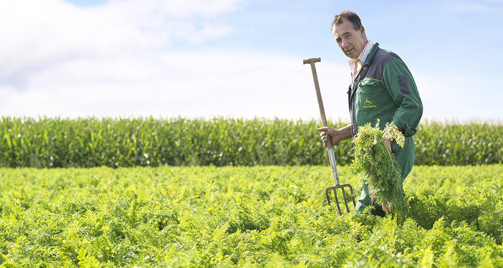 Een man in groene kleding staat in een veld met een hooivork en een bos groen, met een maïsveld op de achtergrond.