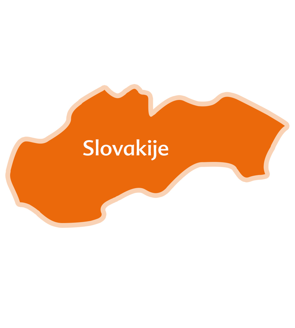 Een vereenvoudigde kaart van het land Slowakije, met in het midden de naam "Slowakije".