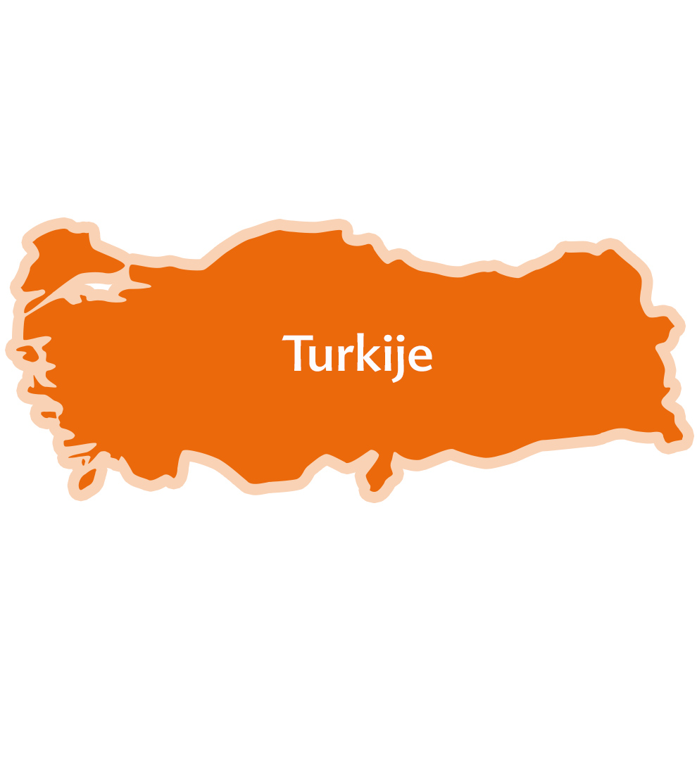 Een kaart van Turkije met het woord "Turkiye" in het midden.
